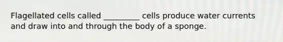 Flagellated cells called _________ cells produce water currents and draw into and through the body of a sponge.