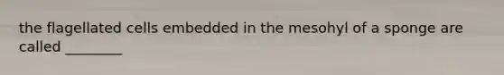 the flagellated cells embedded in the mesohyl of a sponge are called ________