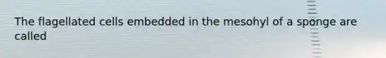 The flagellated cells embedded in the mesohyl of a sponge are called