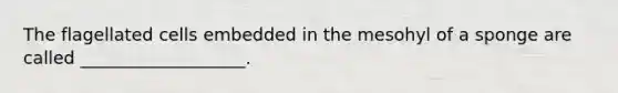 The flagellated cells embedded in the mesohyl of a sponge are called ___________________.