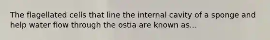 The flagellated cells that line the internal cavity of a sponge and help water flow through the ostia are known as...