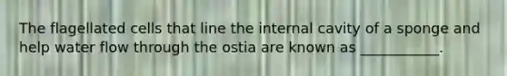 The flagellated cells that line the internal cavity of a sponge and help water flow through the ostia are known as ___________.