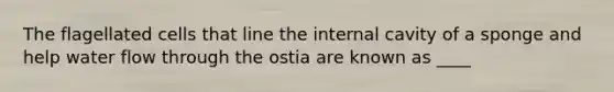 The flagellated cells that line the internal cavity of a sponge and help water flow through the ostia are known as ____