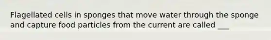 Flagellated cells in sponges that move water through the sponge and capture food particles from the current are called ___
