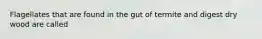 Flagellates that are found in the gut of termite and digest dry wood are called