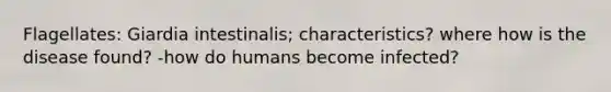 Flagellates: Giardia intestinalis; characteristics? where how is the disease found? -how do humans become infected?