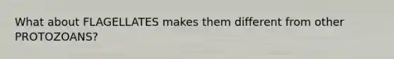 What about FLAGELLATES makes them different from other PROTOZOANS?