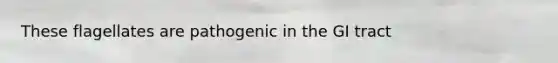 These flagellates are pathogenic in the GI tract