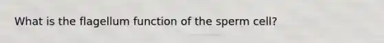 What is the flagellum function of the sperm cell?