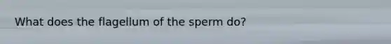 What does the flagellum of the sperm do?