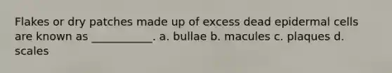Flakes or dry patches made up of excess dead epidermal cells are known as ___________. a. bullae b. macules c. plaques d. scales