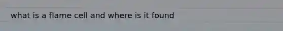 what is a flame cell and where is it found