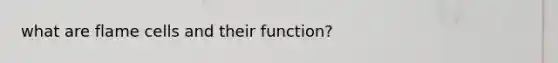 what are flame cells and their function?
