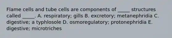 Flame cells and tube cells are components of _____ structures called _____. A. respiratory; gills B. excretory; metanephridia C. digestive; a typhlosole D. osmoregulatory; protonephridia E. digestive; microtriches