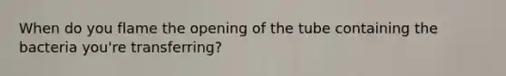 When do you flame the opening of the tube containing the bacteria you're transferring?