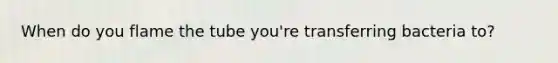 When do you flame the tube you're transferring bacteria to?