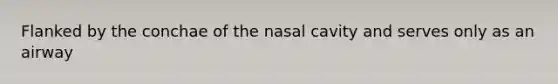 Flanked by the conchae of the nasal cavity and serves only as an airway