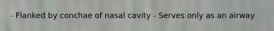 - Flanked by conchae of nasal cavity - Serves only as an airway