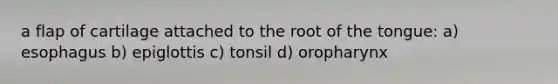 a flap of cartilage attached to the root of the tongue: a) esophagus b) epiglottis c) tonsil d) oropharynx