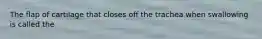 The flap of cartilage that closes off the trachea when swallowing is called the