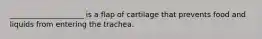 ____________________ is a flap of cartilage that prevents food and liquids from entering the trachea.