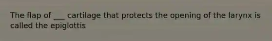 The flap of ___ cartilage that protects the opening of the larynx is called the epiglottis