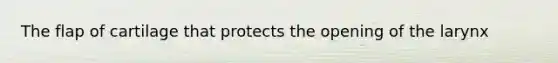 The flap of cartilage that protects the opening of the larynx