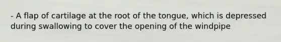 - A flap of cartilage at the root of the tongue, which is depressed during swallowing to cover the opening of the windpipe