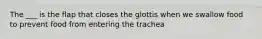 The ___ is the flap that closes the glottis when we swallow food to prevent food from entering the trachea