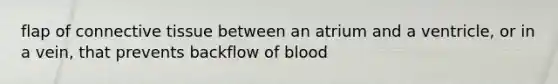 flap of connective tissue between an atrium and a ventricle, or in a vein, that prevents backflow of blood