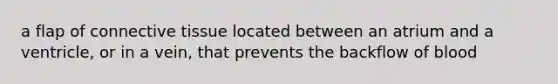a flap of connective tissue located between an atrium and a ventricle, or in a vein, that prevents the backflow of blood