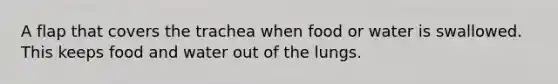 A flap that covers the trachea when food or water is swallowed. This keeps food and water out of the lungs.