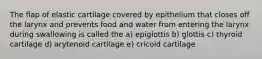 The flap of elastic cartilage covered by epithelium that closes off the larynx and prevents food and water from entering the larynx during swallowing is called the a) epiglottis b) glottis c) thyroid cartilage d) arytenoid cartilage e) cricoid cartilage