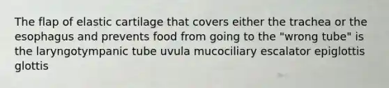 The flap of elastic cartilage that covers either the trachea or the esophagus and prevents food from going to the "wrong tube" is the laryngotympanic tube uvula mucociliary escalator epiglottis glottis