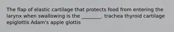 The flap of elastic cartilage that protects food from entering the larynx when swallowing is the ________. trachea thyroid cartilage epiglottis Adam's apple glottis