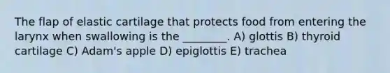 The flap of elastic cartilage that protects food from entering the larynx when swallowing is the ________. A) glottis B) thyroid cartilage C) Adam's apple D) epiglottis E) trachea