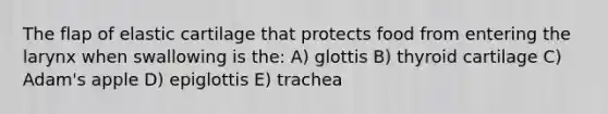 The flap of elastic cartilage that protects food from entering the larynx when swallowing is the: A) glottis B) thyroid cartilage C) Adam's apple D) epiglottis E) trachea