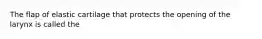 The flap of elastic cartilage that protects the opening of the larynx is called the