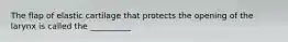 The flap of elastic cartilage that protects the opening of the larynx is called the __________
