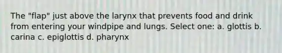 The "flap" just above the larynx that prevents food and drink from entering your windpipe and lungs. Select one: a. glottis b. carina c. epiglottis d. pharynx