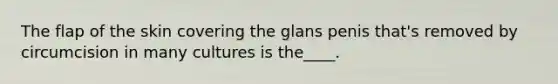 The flap of the skin covering the glans penis that's removed by circumcision in many cultures is the____.