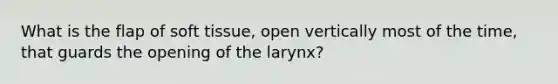 What is the flap of soft tissue, open vertically most of the time, that guards the opening of the larynx?