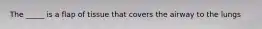 The _____ is a flap of tissue that covers the airway to the lungs