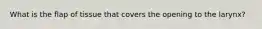 What is the flap of tissue that covers the opening to the larynx?