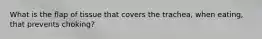 What is the flap of tissue that covers the trachea, when eating, that prevents choking?