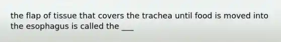 the flap of tissue that covers the trachea until food is moved into the esophagus is called the ___