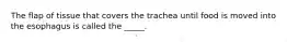 The flap of tissue that covers the trachea until food is moved into the esophagus is called the _____.