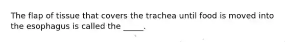 The flap of tissue that covers the trachea until food is moved into <a href='https://www.questionai.com/knowledge/kSjVhaa9qF-the-esophagus' class='anchor-knowledge'>the esophagus</a> is called the _____.