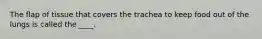 The flap of tissue that covers the trachea to keep food out of the lungs is called the ____.