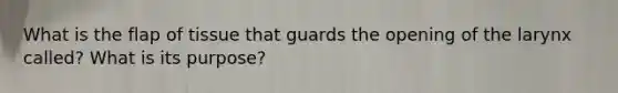 What is the flap of tissue that guards the opening of the larynx called? What is its purpose?
